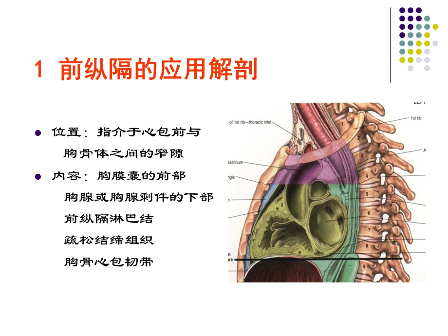 断面解剖纵膈下文档资料.ppt_第2页