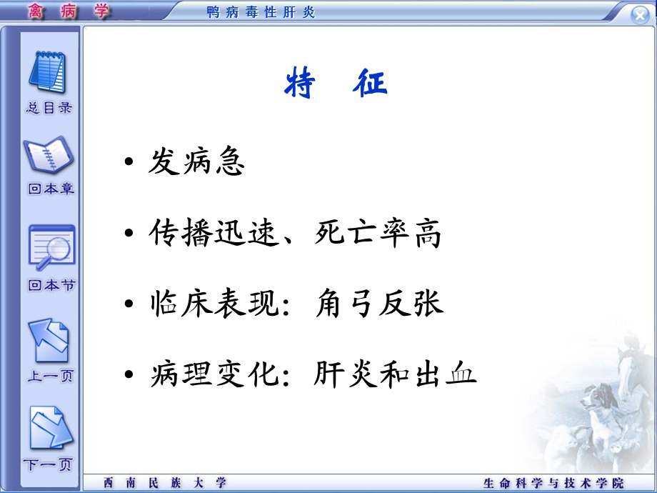 十鸭病毒性肝炎精选文档.ppt_第2页