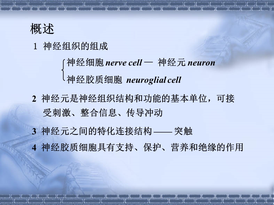 第07章神经组织精选文档.ppt_第1页