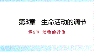 浙教版八年级科学上册同步练习课件：第三章 第4节　动物的行为(共24张PPT).pptx