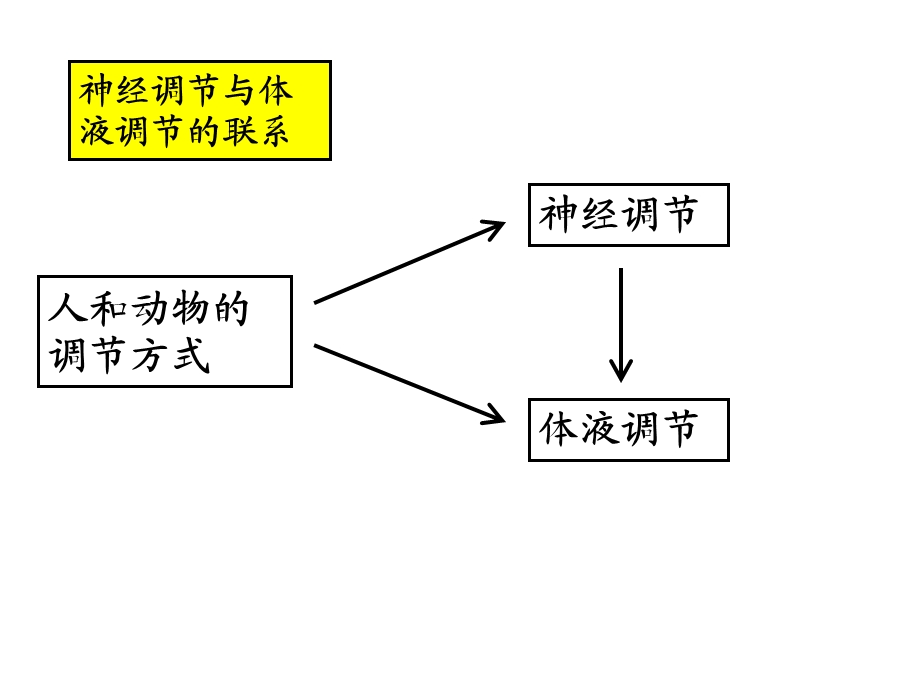 最新正神经系统的结构与功能ppt课件PPT文档.ppt_第3页