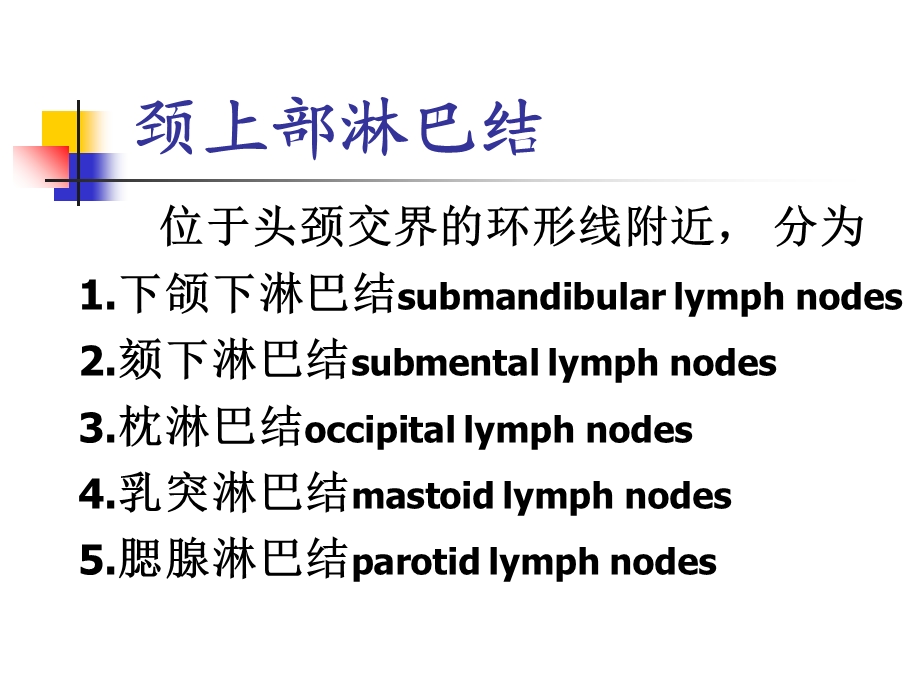 局部解剖颈部淋巴结文档资料.ppt_第2页