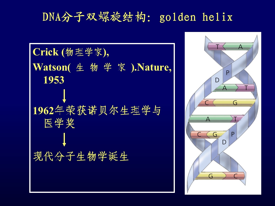 外科学与分子生物学Surgerymolecularbiology文档资料.ppt_第2页