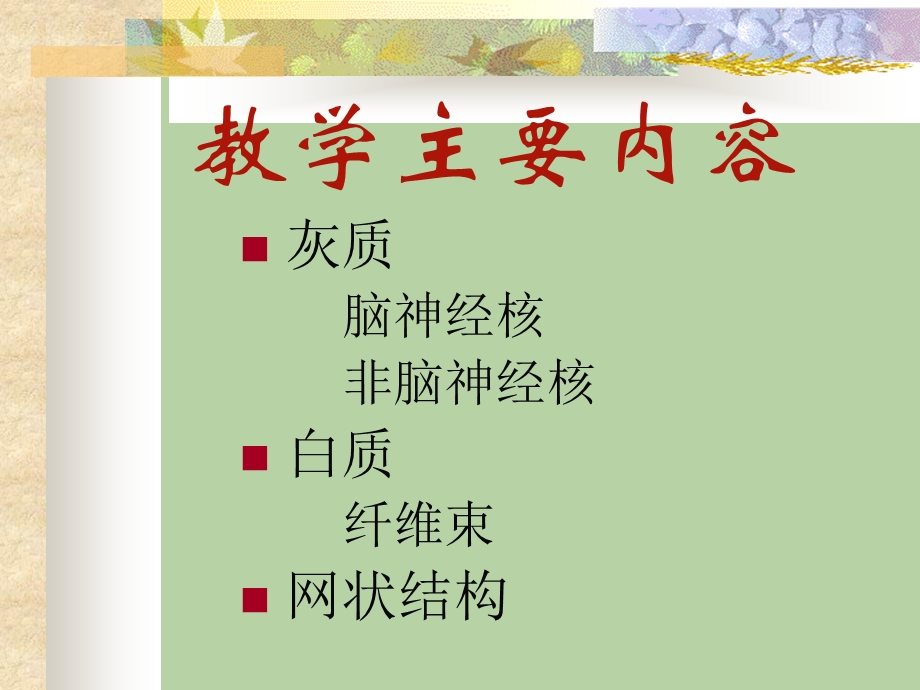 局部解剖学脑干文档资料.ppt_第1页