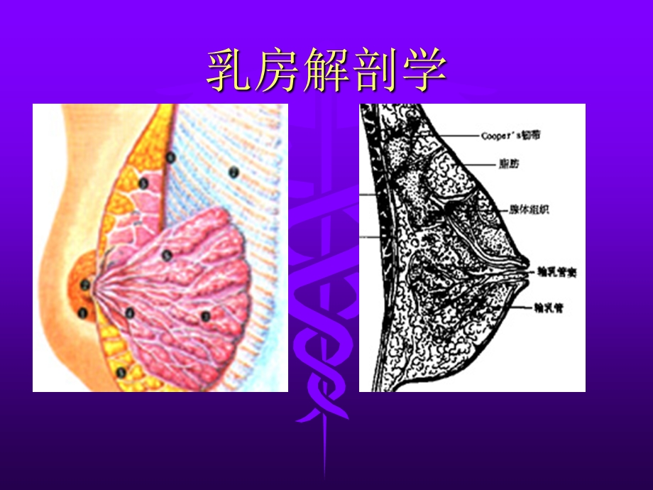 最新外科护理学第15章第2节乳腺癌PPT文档.ppt_第1页