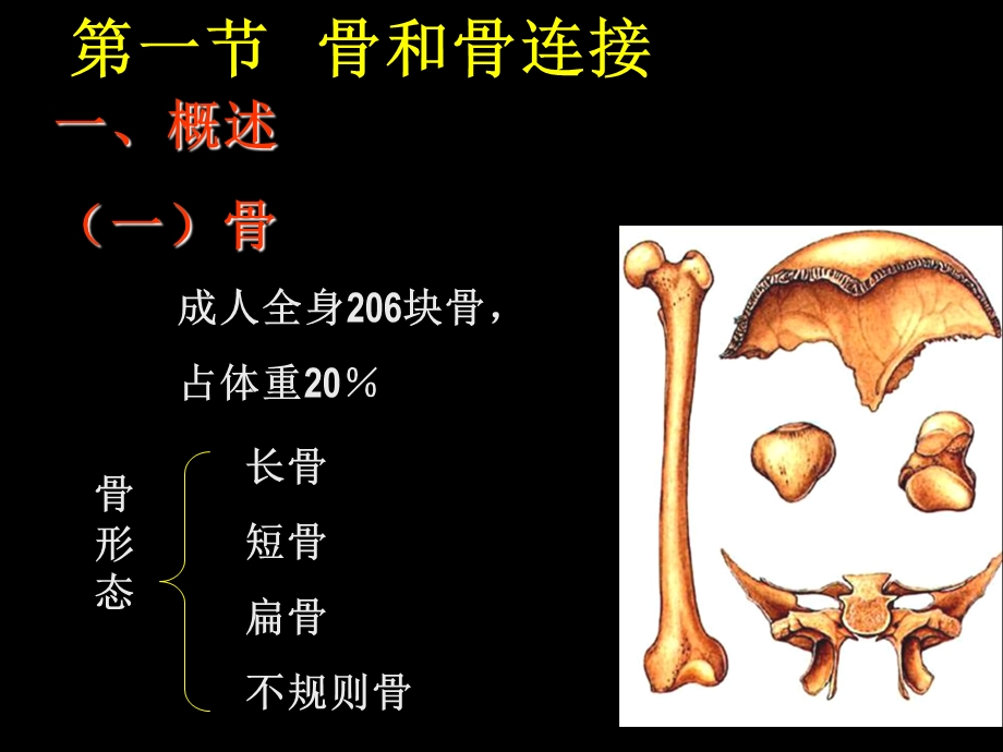 2第二章运动系统骨骼精选文档.ppt_第1页