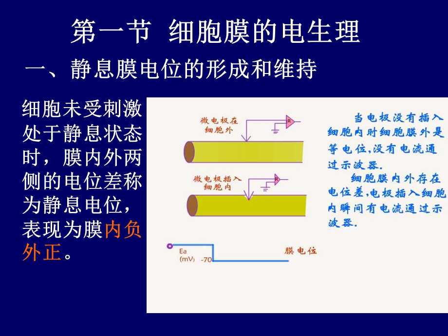 最新最新：25细胞的基本机能文档资料PPT文档.ppt_第2页