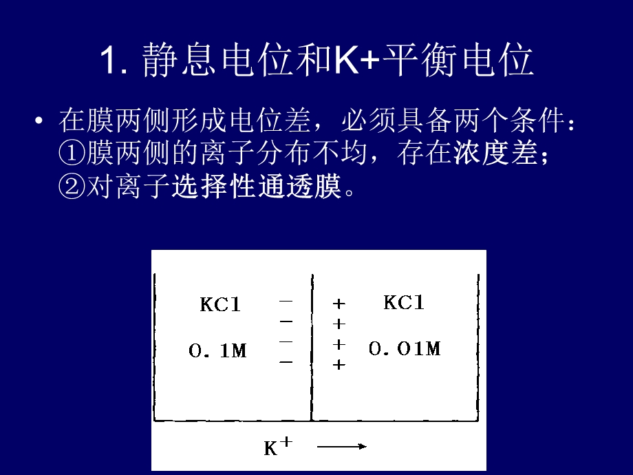 最新最新：25细胞的基本机能文档资料PPT文档.ppt_第3页