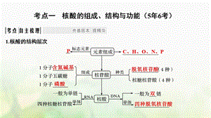 最新：高考生物一轮复习第一单元组成细胞的分子第4讲核酸糖类和脂质课件文档资料.ppt