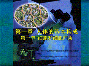 2第一节细胞及细胞间质文档资料.ppt