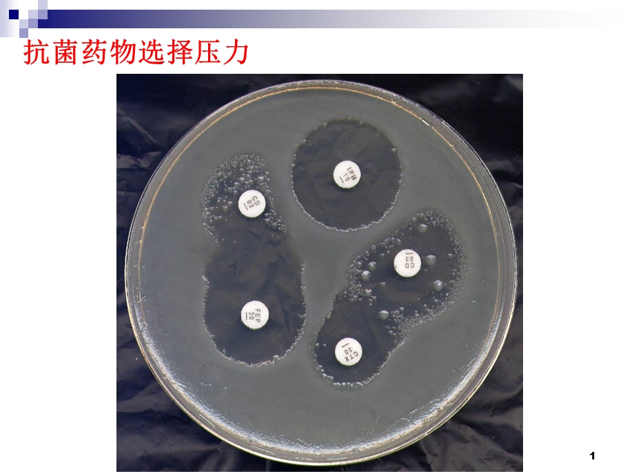 合理使用抗生素的意义PPT文档.ppt_第1页