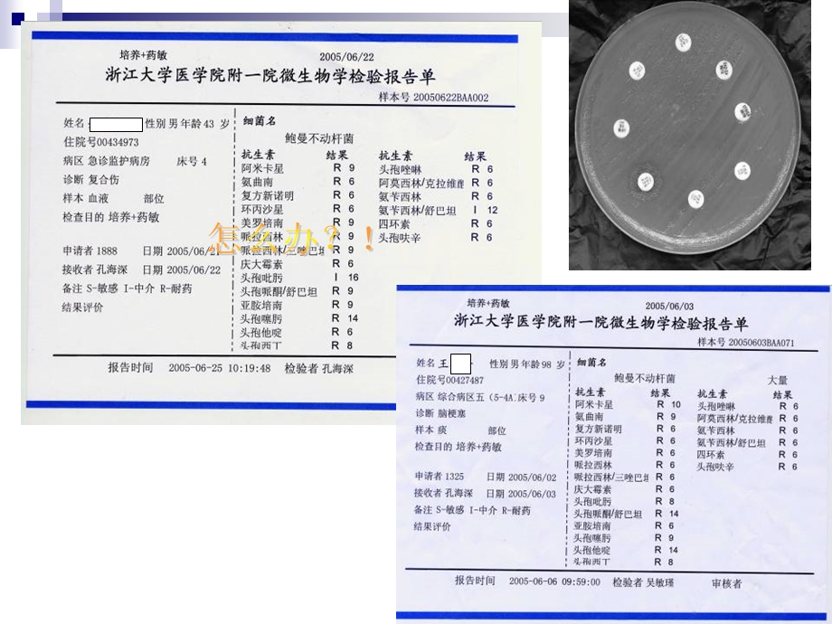 合理使用抗生素的意义PPT文档.ppt_第2页