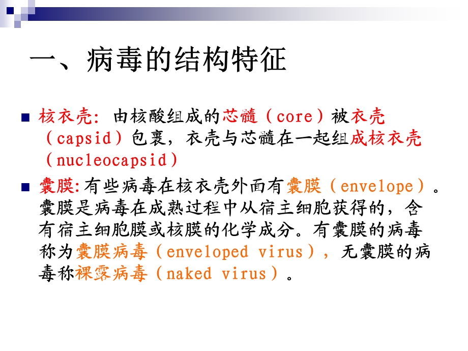 67病毒学精选文档.ppt_第3页