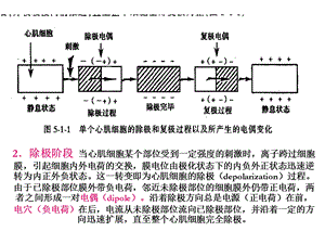 正常心电图34文档资料.ppt