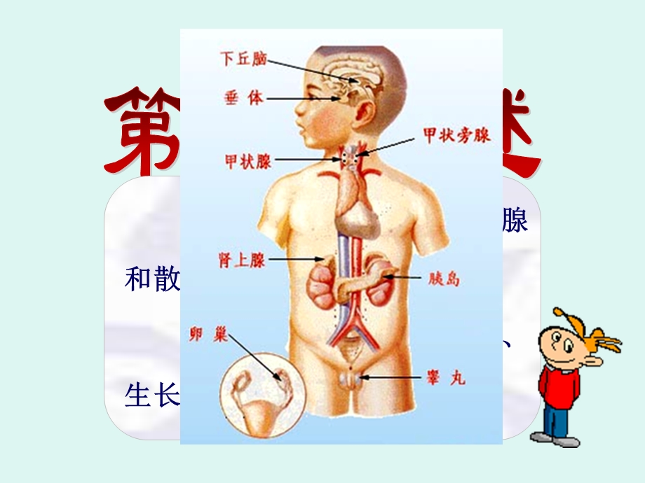 最新：内分泌课件PPT文档资料.ppt_第1页