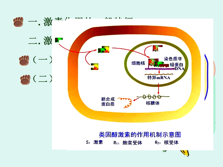 最新：内分泌课件PPT文档资料.ppt_第2页