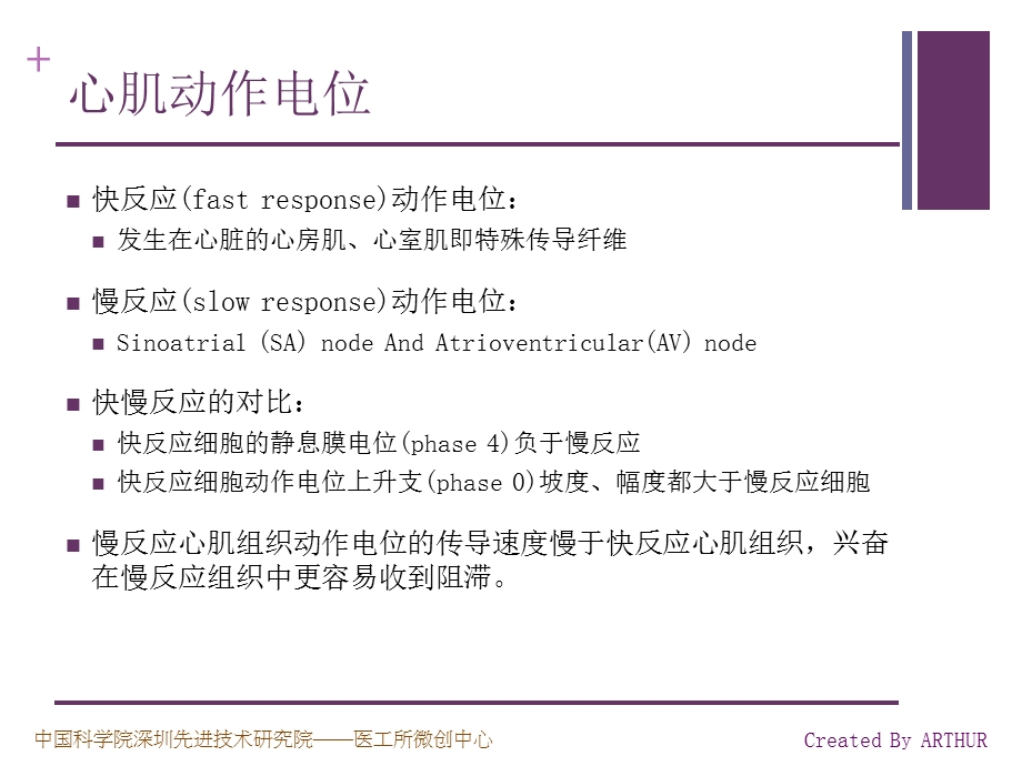 生理学原理学习笔记之——心脏的电活动PPT文档.ppt_第3页