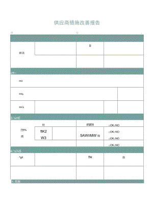 供应商改善报告.docx