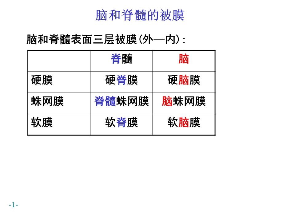 .脑和脊髓的被膜、血管及脑脊液循环()PPT文档资料_第1页