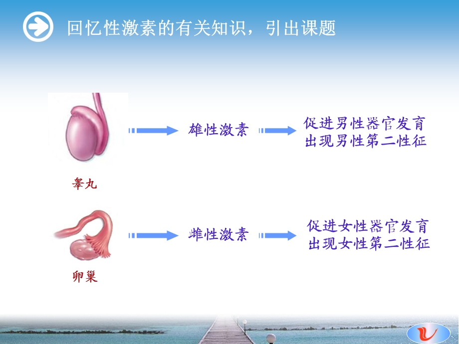 [临床医学]激素调节第一版.ppt_第3页