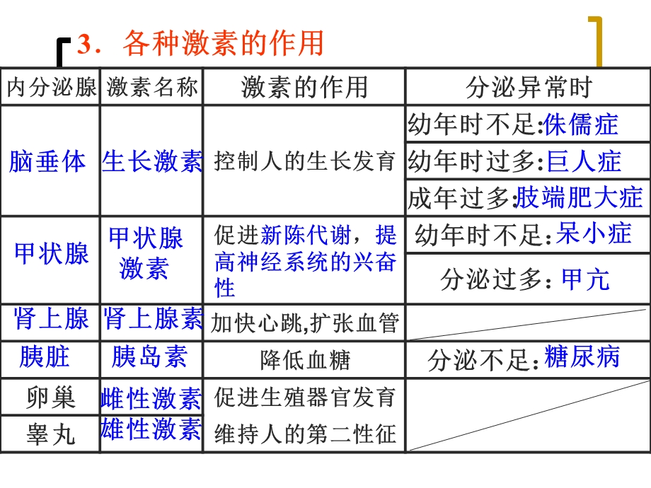 最新人体的神经调节1PPT文档.ppt_第2页