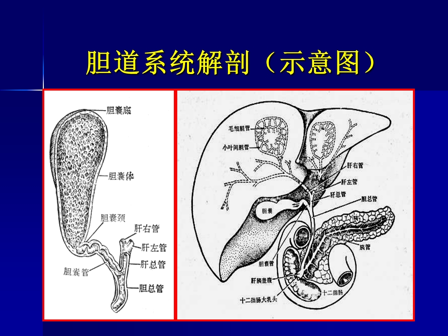 最新：胆系疾病影像诊断ppt课件文档资料.ppt_第1页