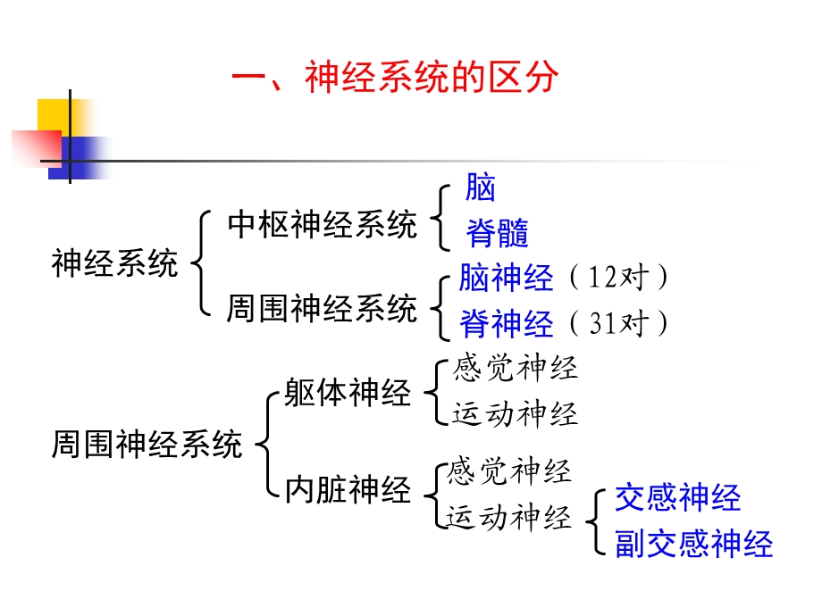 9中枢神经系统PPT文档资料.ppt_第1页