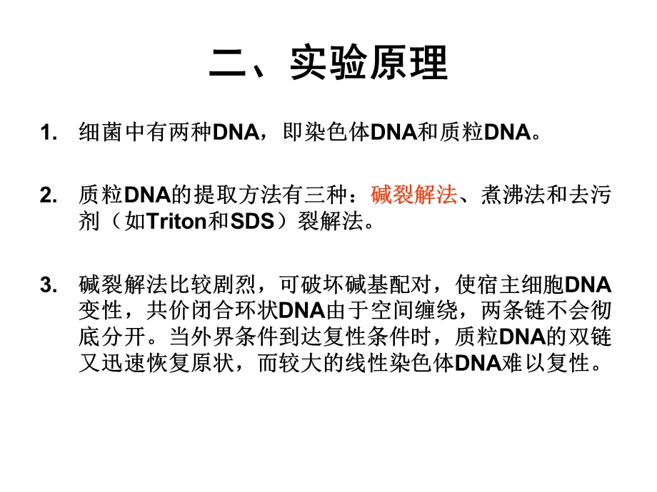 实验细菌转化精选文档.ppt_第2页