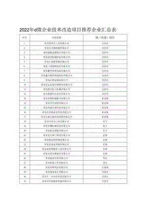 2022年小微企业技术改造项目推荐企业汇总表.docx