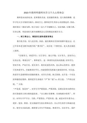 公立学校2023年教师道德师风学习个人心得体会 样板（6份）.docx