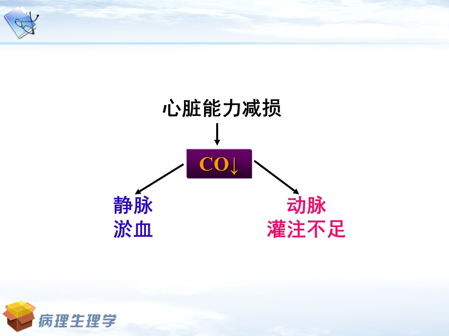 [临床医学]本心衰.ppt_第3页