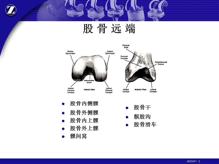 最新：膝关节解剖和生物力学ppt课件文档资料.ppt_第2页