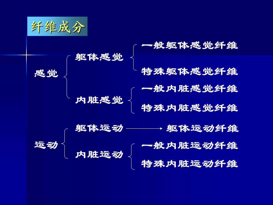 第4脑神经PPT文档.ppt_第3页