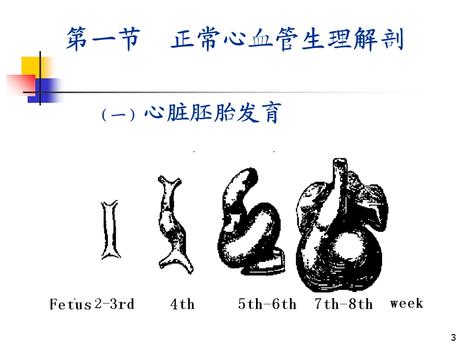 小儿循环系统疾病ppt课件文档资料.ppt_第3页