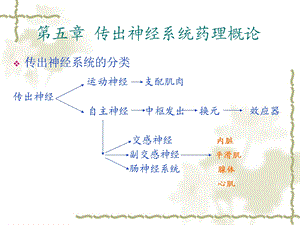 外周神经系统药课件文档资料.ppt