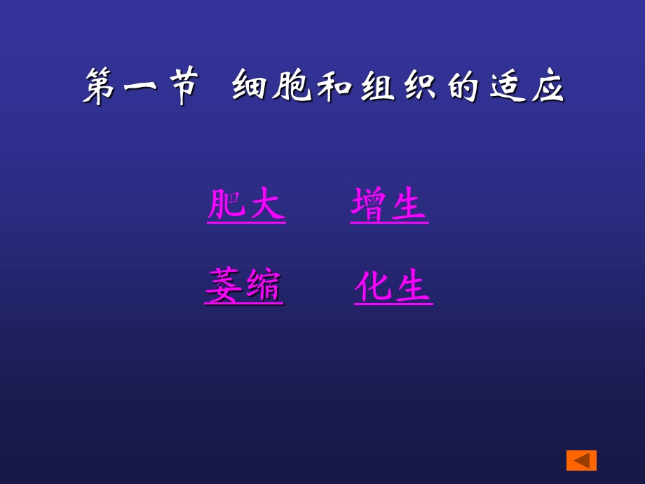 子宫内膜病理第一章 细胞、组织的适应、损伤与修复精选文档.ppt_第3页