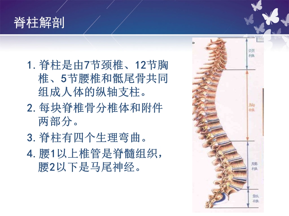 护理新技术脊柱骨折病人的护理ppt课件文档资料.ppt_第2页