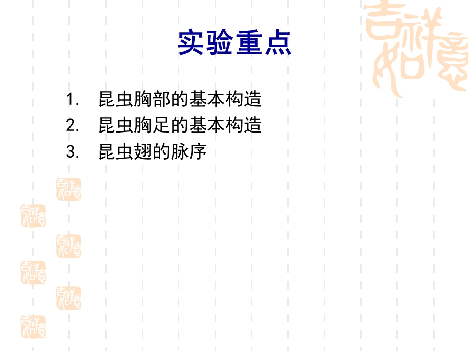 实验2昆虫的胸部PPT文档.ppt_第2页