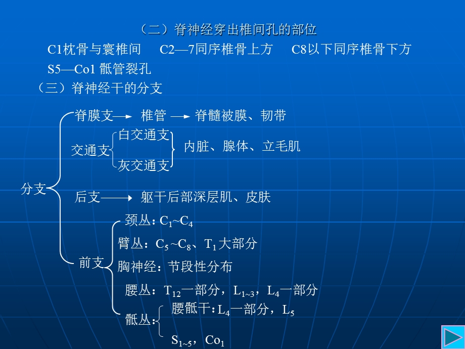 周围神经系统篇文档资料.ppt_第3页