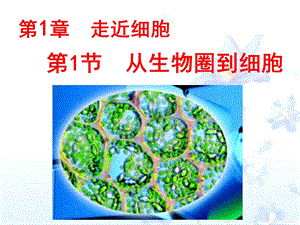 11从生物圈到细胞PPT课件.ppt