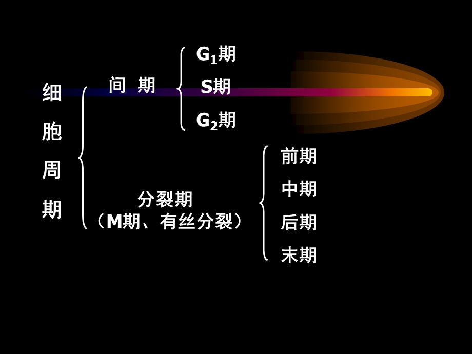 最新细胞增值周期课件PPT文档.ppt_第1页