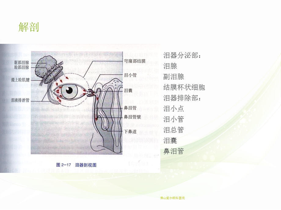 最新眼科学泪器疾病ppt课件PPT文档.ppt_第1页