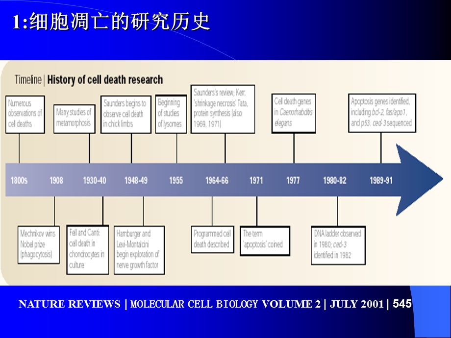 分子生物学细胞调亡专题讲座PPT课件文档资料.ppt_第2页