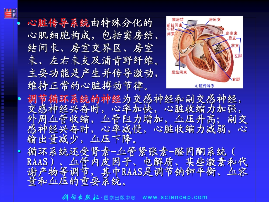 内科护理学循环系统疾病患者的护理ppt课件精选文档.ppt_第2页