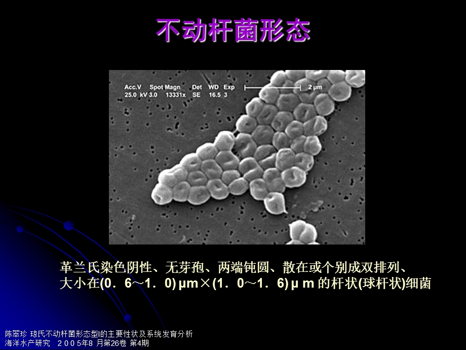 最新鲍曼不动杆菌感染(吴金)PPT文档.ppt_第1页