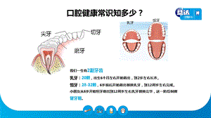 最新口腔健康知识学习PPT文档.pptx