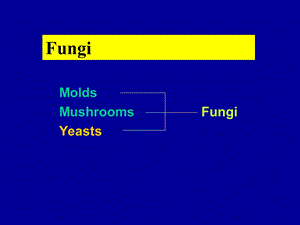 临床微生物真菌学英文精选文档.ppt