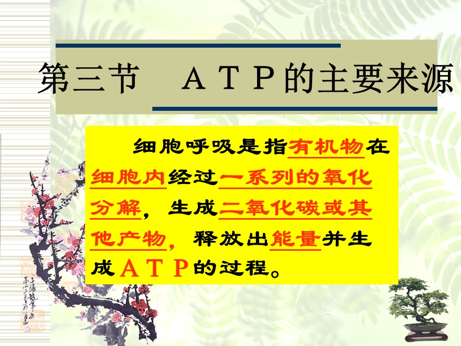 ATP的主要来源──细胞呼吸PPT文档.ppt_第1页