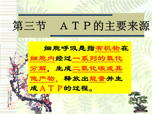 ATP的主要来源──细胞呼吸PPT文档.ppt