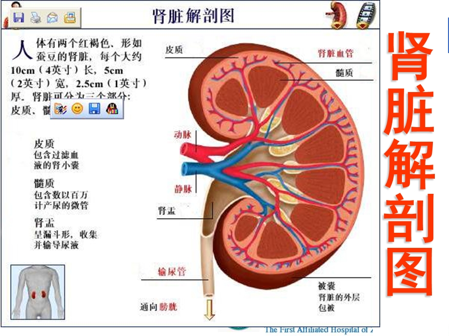 最新：肾内1总论,急性急性慢性肾炎文档资料.ppt_第1页